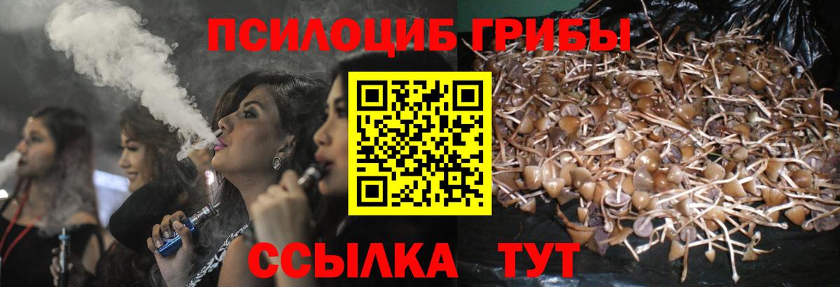 Псилоцибиновые грибы прущие грибы  Вход с VPN  Спасск-Дальний 
